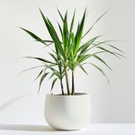 三角形内角和实验探究